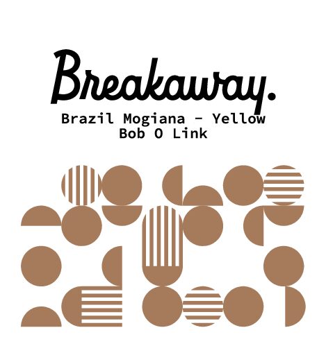 BRAZIL Mogiana - Bob O Link project (250g)