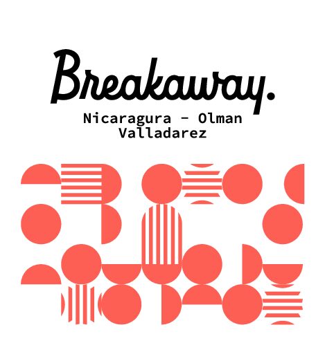 NICARAGUA Olman Valladarez (250g)